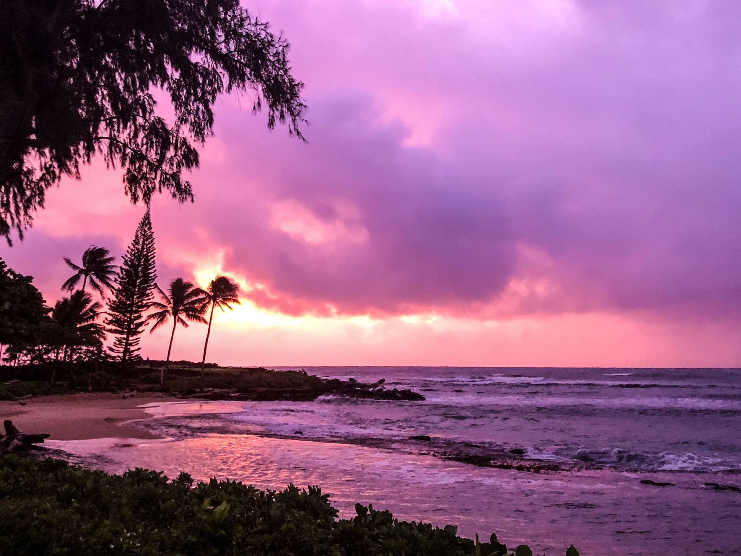 Welcome to Ultimate Kauai - Ultimate Kauai 